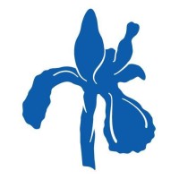 Dying with Dignity Victoria logo - Similar company to Matrix Development Australia Pty Ltd