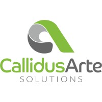 Callidus Arte Solutions logo - Similar company to Bird Comm