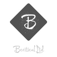 Bcritical Ltd