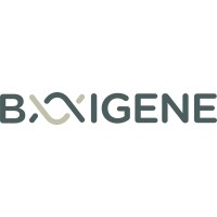 BAIGENE logo - Similar company to Inteman Laboratorios S.A