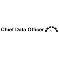 Chief Data Officer logo - Similar company to The Chief Data Officer'S Playbook