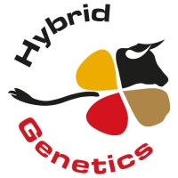 Hybrid Genetics logo - Similar company to Geno Sa