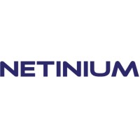 Netinium logo - Similar company to Meter&Control
