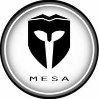 TEAM MESA GEC logo - Similar company to G-Force Racing