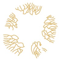 The Bio-Leadership Project logo - Similar company to Coconut Thinking