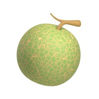 NESVI.GE logo - Similar company to Animator