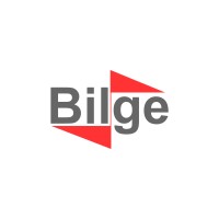 Bilge SGT logo - Similar company to Dataflowx