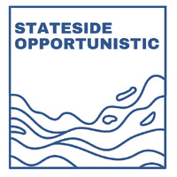 Stateside Opportunistic LLC logo - Similar company to Nxthvn