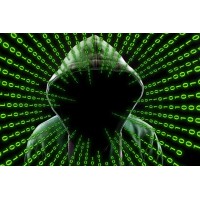 Data Rangers IT Solutions pvt Ltd logo - Similar company to Interface11 Software Solutions Pvt Ltd