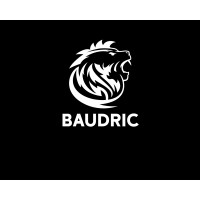 BAUDRIC logo - Similar company to Conmach Solution