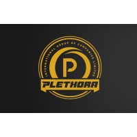 PLETHORA GROUP OF COMPANIES (T) LIMITED logo - Similar company to Ct Clearance Services Ltd