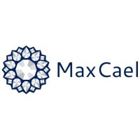 MaxCael logo - Similar company to Hashtag Group