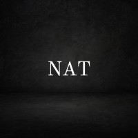 NAT logo - Similar company to Fibrecast