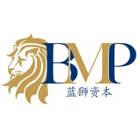 BMPartners Pte Ltd logo - Similar company to Blaser Meewes & Partner Ag