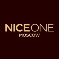 Nice one logo - Similar company to Dongguan Langdi Precision Mould Co,.Ltd