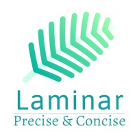 Laminar Business and IT Solutions logo - Similar company to Jas Tech It Solutions