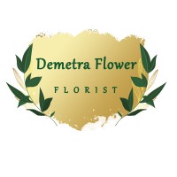 Demetra Flower logo - Similar company to Iran Ceramic Minerals - Zista Group