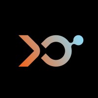 Intellexo logo - Similar company to Watermark Digital