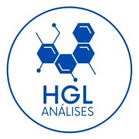 HGL - Análises logo - Similar company to Gb - Assessoria E Consultoria Nir