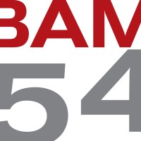 BAM54 logo - Similar company to Larv It Ab