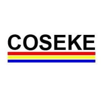 Coseke Zimbabwe (Private) Limited logo - Similar company to Total Networks