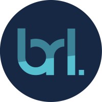 Business Reform Limited logo - Similar company to Finch Technical Solutions Ltd