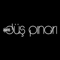 Ajans Düş Pınarı logo - Similar company to Medyra Ajans