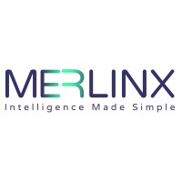 Merlinx logo - Similar company to Tdcomm