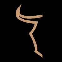 Toro Ventures VC logo - Similar company to Vitau