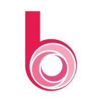 Birkenhead BID logo - Similar company to Birkenhead College