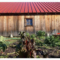 Sustainable Agriculture and Food Systems @UCDavis logo - Similar company to Land Together
