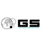 Global Sustain Solutions logo - Similar company to Malvi