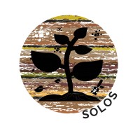 SOLOS Ltda logo - Similar company to Autec Lab