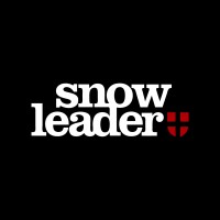 SNOWLEADER logo - Similar company to Probikeshop