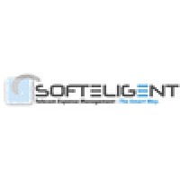 Softeligent LLC logo - Similar company to Asg