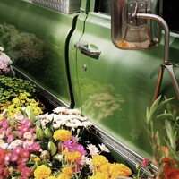 Main Street Flower Truck logo - Similar company to Mb3 Experiences