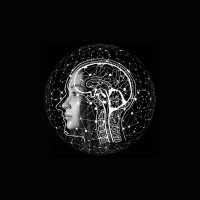 SenseforgeAI logo - Similar company to Securityskool