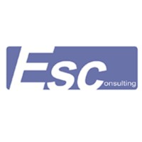 ES Consulting logo - Similar company to Himpunan Mahasiswa Pendidikan Ekonomi Upi