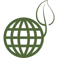 Low-tech web logo - Similar company to True Low-Code Technology