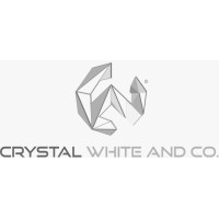 Crystal White Group logo - Similar company to Constrix Real Estate Development Ltd.
