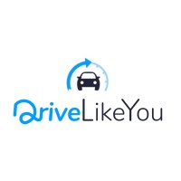 DriveLikeYou S.r.l. logo - Similar company to Web4Business Srls
