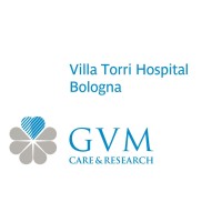 Villa Torri Hospital logo - Similar company to Clinica Privata Villalba