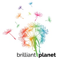 Brilliant Planet logo - Similar company to Limitless Law Pllc