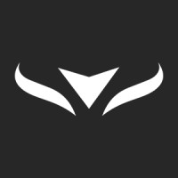 Skyfox logo - Similar company to Skyfox