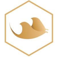 Elysian Yachts logo - Similar company to Viable