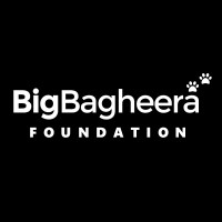 Big Bagheera Foundation logo - Similar company to Taskberry