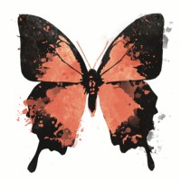 Radian Beauty Renewal