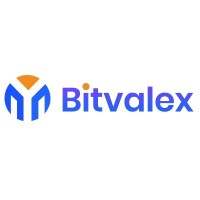 Bitvalex.com logo - Similar company to Bitrawr