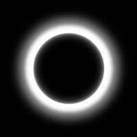 Splendid logo - Similar company to Dynamic Lives