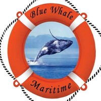 BLUE WHALE MARITIME PVT. LTD. logo - Similar company to Maritech Management Pvt. Ltd